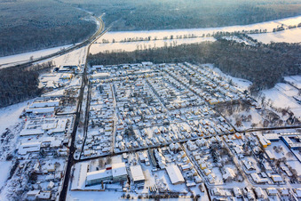Vue aérienne de Lauterburger Straße en hiver avec de la neige à Kandel dans le département Rhénanie-Palatinat, Allemagne