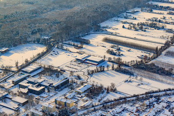 Vue aérienne de Centre scolaire et Bienwaldhalle en hiver avec de la neige à Kandel dans le département Rhénanie-Palatinat, Allemagne