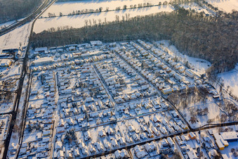 Vue aérienne de Règlement en hiver avec de la neige à Kandel dans le département Rhénanie-Palatinat, Allemagne