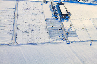 Vue aérienne de Ferme équestre Stall Schmitt en hiver avec de la neige à Hatzenbühl dans le département Rhénanie-Palatinat, Allemagne