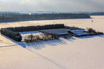 Vue aérienne de Sudetenhof en hiver avec de la neige à Steinweiler dans le département Rhénanie-Palatinat, Allemagne
