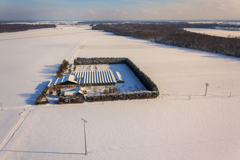 Photographie aérienne de Sudetenhof en hiver avec de la neige à Steinweiler dans le département Rhénanie-Palatinat, Allemagne
