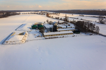 Vue aérienne de Wagner Ranch en hiver avec de la neige à Steinweiler dans le département Rhénanie-Palatinat, Allemagne