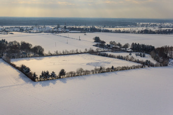 Vue aérienne de Paddock de Trakehner-Friedrich en hiver avec de la neige à Minfeld dans le département Rhénanie-Palatinat, Allemagne