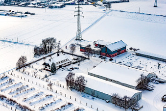 Vue aérienne de Schoßberghof en hiver avec de la neige à Minfeld dans le département Rhénanie-Palatinat, Allemagne