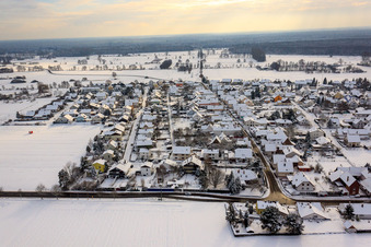Vue aérienne de Allée en bois en hiver avec de la neige à Minfeld dans le département Rhénanie-Palatinat, Allemagne