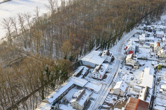 Vue aérienne de Elsässerstraße Fa. Frey Sondermaschinen dans la neige en hiver à Kandel dans le département Rhénanie-Palatinat, Allemagne