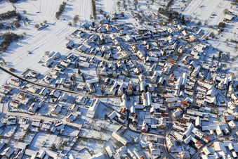 Vue aérienne de Dans les forêts pendant l'hiver enneigé à le quartier Büchelberg in Wörth am Rhein dans le département Rhénanie-Palatinat, Allemagne
