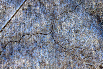 Vue aérienne de Parcours du Pfirsinggraben dans la forêt de Bienwald pendant les chutes de neige en hiver à le quartier Büchelberg in Wörth am Rhein dans le département Rhénanie-Palatinat, Allemagne