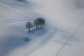 Photographie aérienne de Wintzenbach dans le département Bas Rhin, France