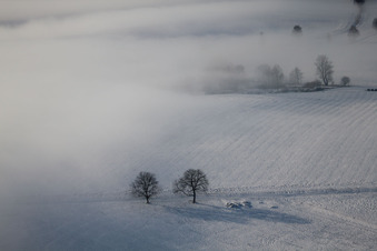Photographie aérienne de Wintzenbach dans le département Bas Rhin, France