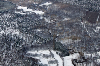 Vue aérienne de Lautertal dans le Bienwald à Schleithal dans le département Bas Rhin, France