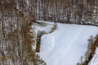 Vue aérienne de Otterbach dans la forêt de Bienwald sous la neige en hiver à Freckenfeld dans le département Rhénanie-Palatinat, Allemagne