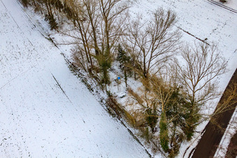 Vue aérienne de La cabane de Krumböck à Minfeld dans le département Rhénanie-Palatinat, Allemagne