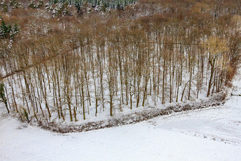 Vue aérienne de Cimetière forestier de Bienwaldruhe sous la neige en hiver à Kandel dans le département Rhénanie-Palatinat, Allemagne