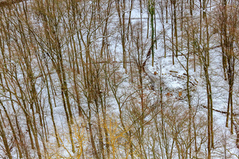 Vue aérienne de Cimetière forestier de Bienwaldruhe sous la neige en hiver à Kandel dans le département Rhénanie-Palatinat, Allemagne