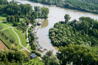 Vue aérienne de Estuaire de la Lauter avec marina Neuburg am Rhein à Neuburg am Rhein dans le département Rhénanie-Palatinat, Allemagne