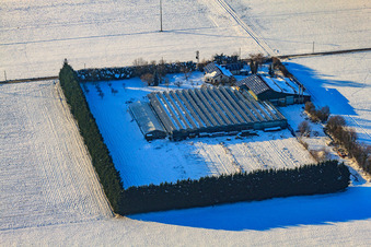 Vue aérienne de Sudetenhof sous la neige en hiver à Steinweiler dans le département Rhénanie-Palatinat, Allemagne