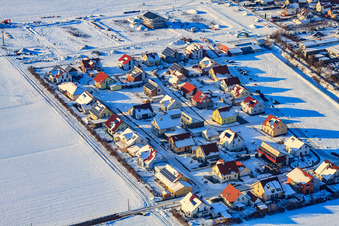 Vue aérienne de Chemin de hêtres sous la neige en hiver à Steinweiler dans le département Rhénanie-Palatinat, Allemagne