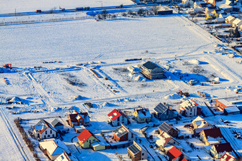 Vue aérienne de Chemin d'épicéas sous la neige en hiver à Steinweiler dans le département Rhénanie-Palatinat, Allemagne