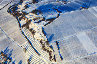 Vue aérienne de Petit Kalmit en hiver avec de la neige à Ilbesheim bei Landau dans le département Rhénanie-Palatinat, Allemagne