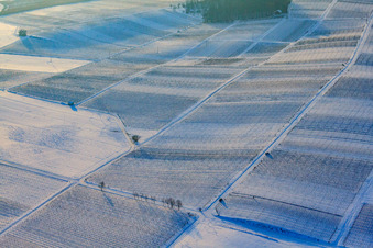 Vue aérienne de Vignes entre roseraie et châtaignier Chapelles en hiver avec neige à le quartier Deutschhof in Kapellen-Drusweiler dans le département Rhénanie-Palatinat, Allemagne