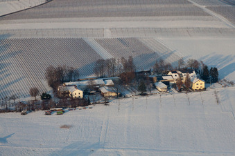 Vue oblique de Eichenhof à le quartier Deutschhof in Kapellen-Drusweiler dans le département Rhénanie-Palatinat, Allemagne
