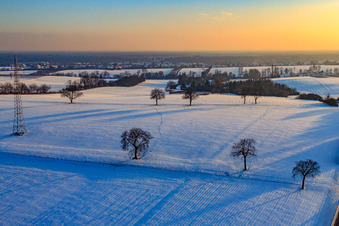 Vue aérienne de Champs et noyers le soir en hiver avec de la neige à Vollmersweiler dans le département Rhénanie-Palatinat, Allemagne