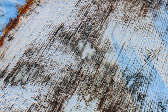 Vue aérienne de Champ sous la neige en hiver à Minfeld dans le département Rhénanie-Palatinat, Allemagne