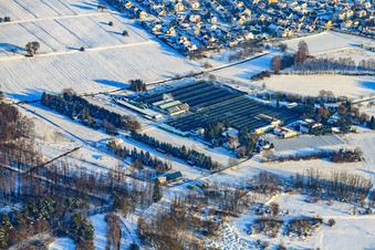 Vue aérienne de Géranium-Endisch sous la neige en hiver à Hagenbach dans le département Rhénanie-Palatinat, Allemagne