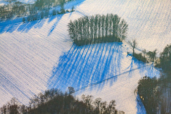 Vue aérienne de Bosquet nu sur un champ sous la neige en hiver à Berg dans le département Rhénanie-Palatinat, Allemagne