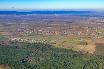 Vue aérienne de Vue de la ville depuis le sud-est à le quartier Niederlustadt in Lustadt dans le département Rhénanie-Palatinat, Allemagne