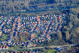 Vue aérienne de Erlenweg sur le Lingenfelder Althrein à Lingenfeld dans le département Rhénanie-Palatinat, Allemagne