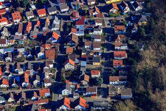 Vue aérienne de Avenue des cerises à Lingenfeld dans le département Rhénanie-Palatinat, Allemagne