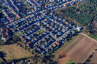 Vue aérienne de Waldstraße x Gartenstr à Dudenhofen dans le département Rhénanie-Palatinat, Allemagne