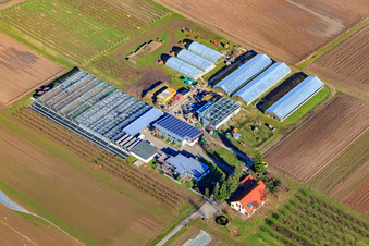 Vue aérienne de Magasin de la ferme Rainer & Sandra Kästel GbR à le quartier Geinsheim in Neustadt an der Weinstraße dans le département Rhénanie-Palatinat, Allemagne