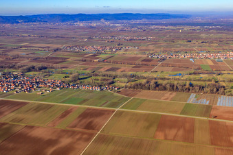 Vue aérienne de Vue du village depuis le sud-est à Freimersheim dans le département Rhénanie-Palatinat, Allemagne