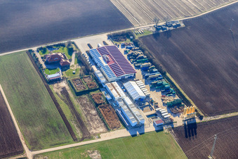 Vue aérienne de Hortulanushof, culture maraîchère - Dieter Stubenbordt à Zeiskam dans le département Rhénanie-Palatinat, Allemagne