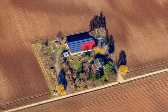 Vue aérienne de Binsenhof à Zeiskam dans le département Rhénanie-Palatinat, Allemagne