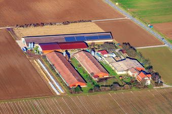 Vue aérienne de Wilfried Günther, ferme de dindes et légumes Klosterhof GbR à Zeiskam dans le département Rhénanie-Palatinat, Allemagne