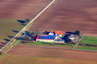 Vue aérienne de Binsenhof à Zeiskam dans le département Rhénanie-Palatinat, Allemagne