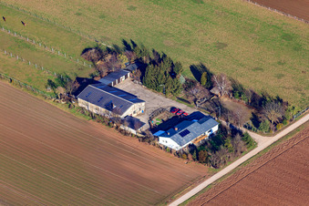 Vue aérienne de Ferme de réinstallation à le quartier Niederlustadt in Lustadt dans le département Rhénanie-Palatinat, Allemagne