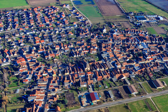 Vue aérienne de Vue de la ville depuis l'ouest à Zeiskam dans le département Rhénanie-Palatinat, Allemagne
