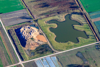 Vue aérienne de Bürgersee du club de pêche Zeiskam eV à Zeiskam dans le département Rhénanie-Palatinat, Allemagne