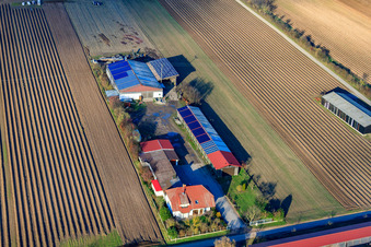Vue aérienne de Alois Böhm Hofladem sur Mühlweg à Hördt dans le département Rhénanie-Palatinat, Allemagne