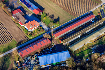 Vue aérienne de Alois Böhm Hofladem sur Mühlweg à Hördt dans le département Rhénanie-Palatinat, Allemagne