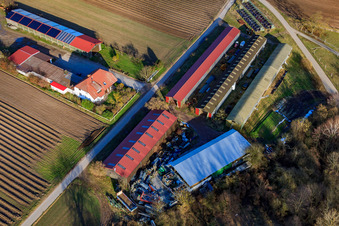 Vue oblique de Alois Böhm Hofladem sur Mühlweg à Hördt dans le département Rhénanie-Palatinat, Allemagne