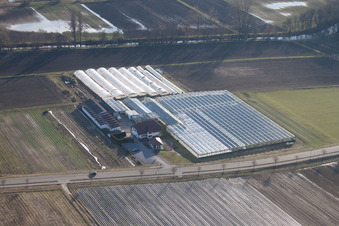 Vue aérienne de Jardinage/boutique biologique à Herxheim bei Landau dans le département Rhénanie-Palatinat, Allemagne