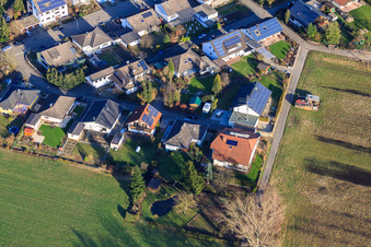 Rue Albert-Detzel à Herxheim bei Landau dans le département Rhénanie-Palatinat, Allemagne vue du ciel