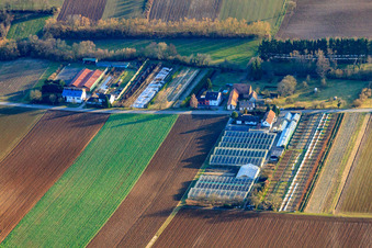 Vue d'oiseau de Nursery à Vollmersweiler dans le département Rhénanie-Palatinat, Allemagne